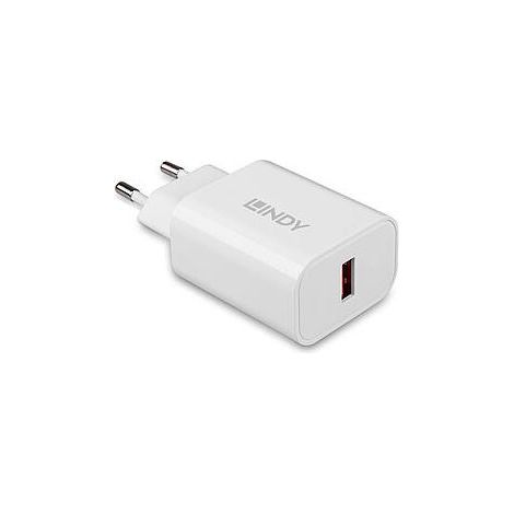 Lindy 73412 Caricabatterie per dispositivi mobili Smartphone Tablet Bianco AC Ricarica rapida Interno Esterno (1/5)