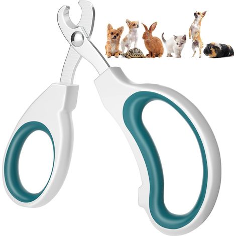 Ciseaux à griffes, ciseaux pour chats pour débutants, excellents ciseaux à griffes, bonne prise en main, ciseaux à griffes pour chats très faciles et sûrs à utiliser (1/5)