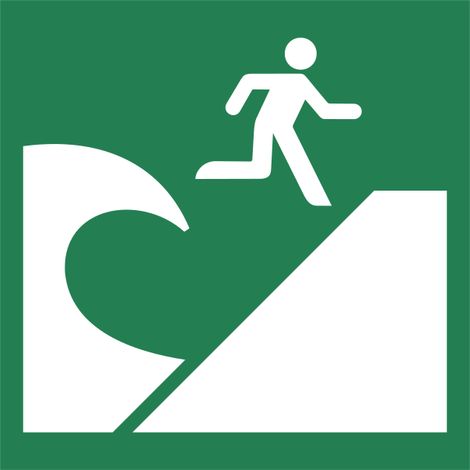 Pannello adesivo ISO 7010 "Via di fuga per evacuazione da tsunami" - E062