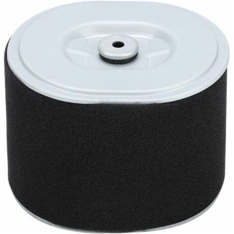 Filtre à Air Gx390 Filtre à Air Filtre à Air Af Ze28 Moteur Gx390 Pièces de Nettoyeur Haute Pression Gx390 294, Accessoire de Remplacement de Filtre à Air pour Tondeuse à Gazon pour Moteur Hond (1/5)