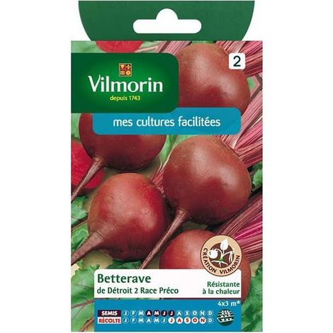 Sachet graines Betterave de détroit 2 race préco