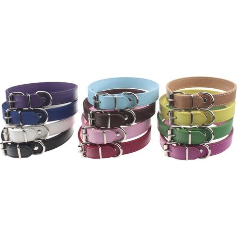 Lot de 12 ou 16 Colliers d'identification réglables en Cuir pour Chiots, Chiens de Taille Moyenne et Grande Taille, Tour de Cou de 15,2 à 45,7 cm (Taille L : Tour de Cou de 33 à 45,7 cm) (1/5)