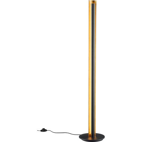 Piantana da Interno a LED in Metallo Nero (1/3)