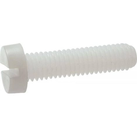 200 Vis Tête Cylindrique Fendue 3 x 10 mm - TYPE DIN 84 - ISO 1207 - NFE25-127 - UNI 6107 - Nylon 6.6 - D-Work