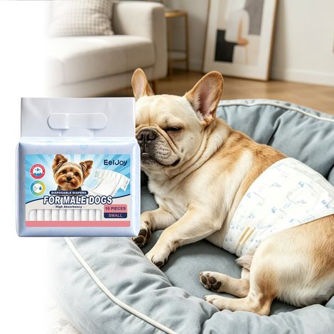 Couches jetables pour chiens mâles, ultra-absorbantes, anti-fuites et respirantes – Lot de 10 (1/5)