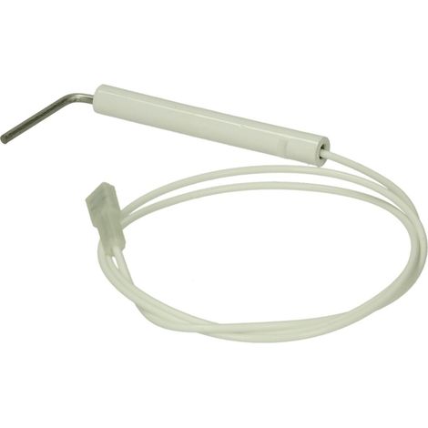 Electrodo de ionización