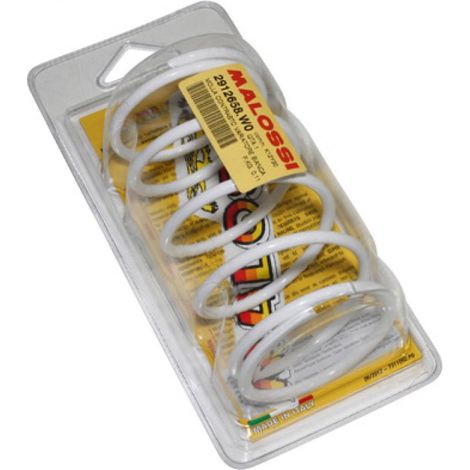 Ressort d embrayage Malossi pour Scooter Peugeot 50 Speedfight (1/3)