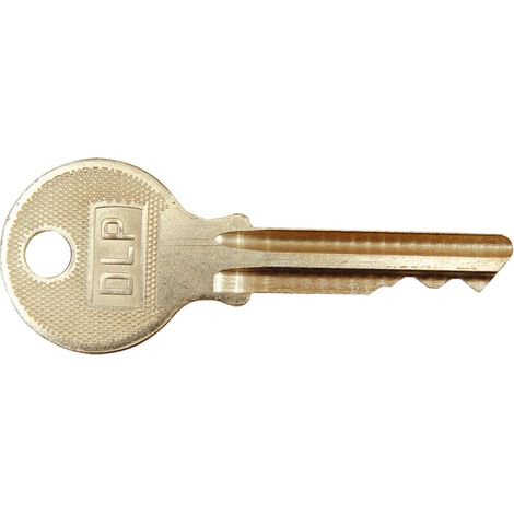 Clé de rechange pour RENAULT CLAAS 6005029770