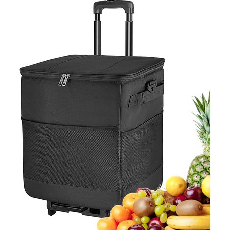 mit Rädern und Griffen 35 l grand isolierter Rollkühler