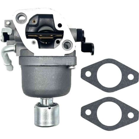 Carburateur de remplacement pour moto 697722, compatible avec Briggs & Stratton