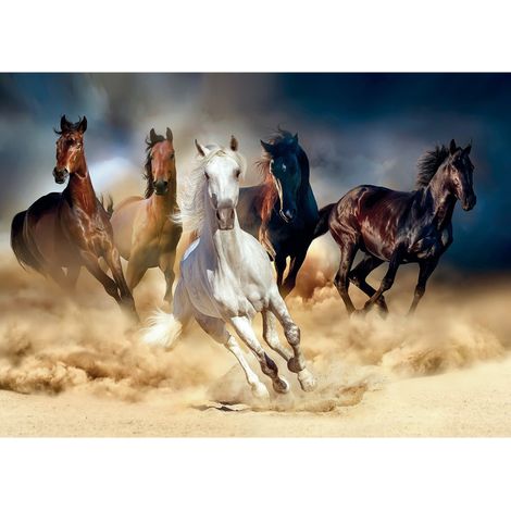 Poster Thème chevaux - 156 x 112 cm (1/3)