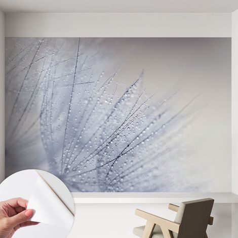 Selbstklebend Tapete - abwaschbar - Arbeitszimmer - Esszimmer- Top Qualität Bespritzter Löwenzahn 152x104 cm (1/5)