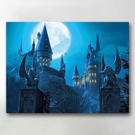 Toile / Peinture - Harry Potter - 40x30 cm - Toile (1/5)