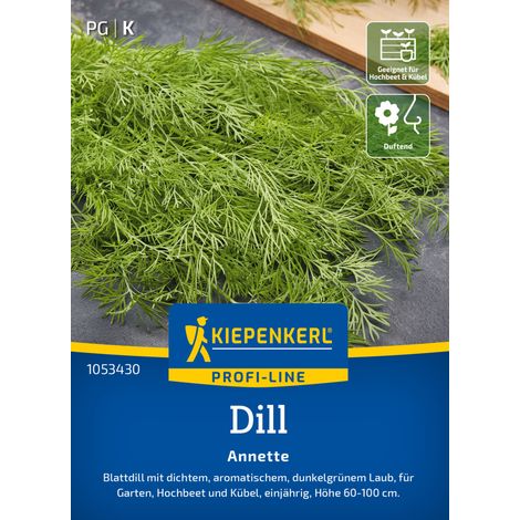 Kiepenkerl Profi-Line Saatgut Dill Annette für ca. 600 Pflanzen (1/2)