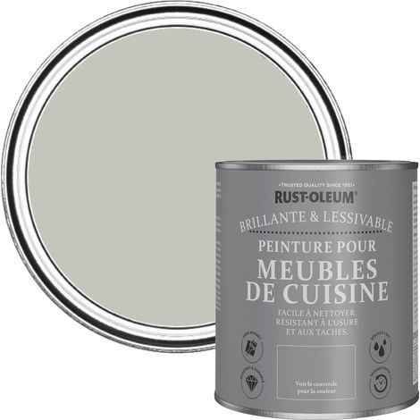 Peinture Grise pour Meubles de Cuisine, Finition Brillante - Brume 750ml (1/5)