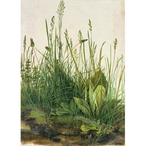 Tableau nature herbe & plante verte pour couloir | Tableau vert pour salle de bain | Tableau sur toile fleuri pour bureau 0,5 x 0,7 m (1/2)
