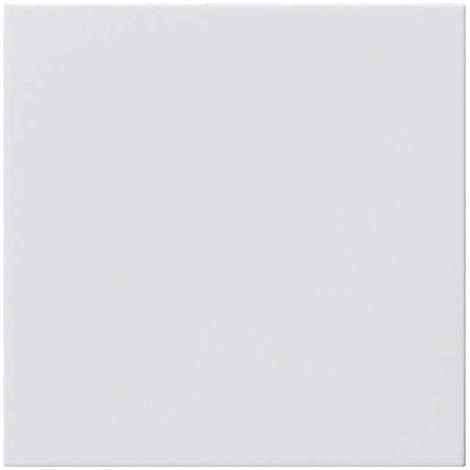 Gira Cache Aveugle rws 810803 sans Anneau de Support System 55 Accessoires pour Interrupteur d'installation 4010337031697