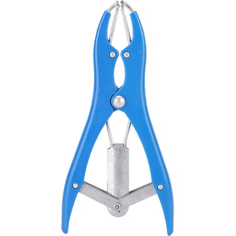 Pince de castration sans effusion de sang pour animaux de ferme (porcs, bovins, moutons) (1/3)
