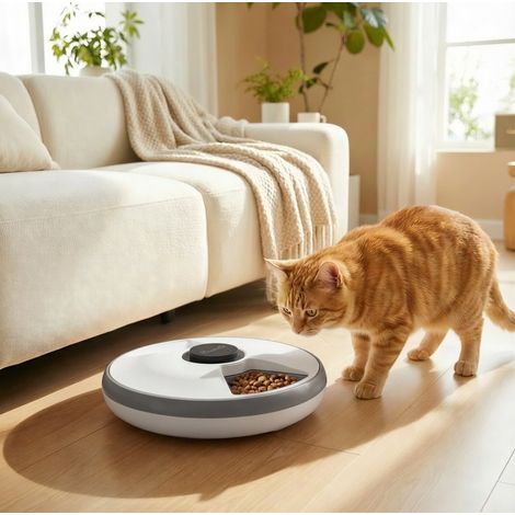 Distributeur automatique de nourriture pour chat sans fil, 6 repas, LED, gris HAVRYA (1/3)
