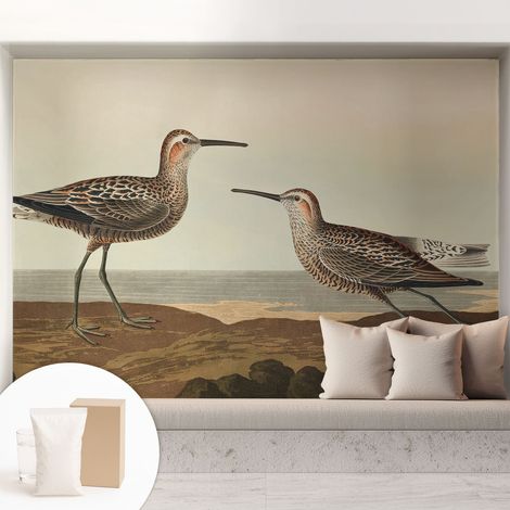 Tapete Vliestapete mit Kleber - Wanddekoration - Wandfolie - 3D Tapete Wand - Wohnungsdeko Vogelsilhouetten 208x146 cm (1/5)