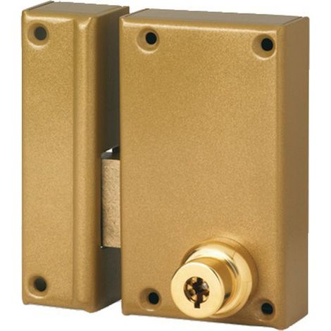 Serrure en applique vertical pêne dormant cylindre de 45mm 5 ailettes gauche - POLLUX - 210510