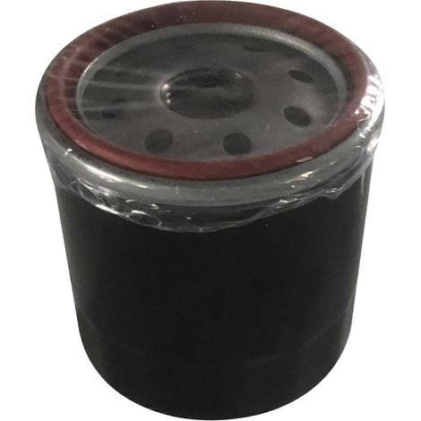 Filtre à huile pour tondeuse à gazon HG52114 600976 109-3321 Hydro Gear 52114 (1/4)