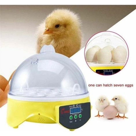 Couveuse Automatique Digital Incubateur Machine a Couver 7 Oeufs Poule (1/4)