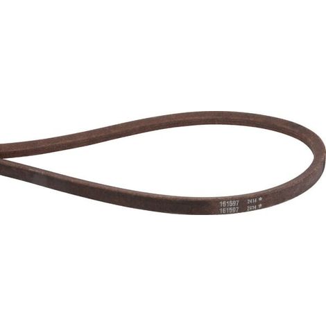 Riemen AYP 532161597
