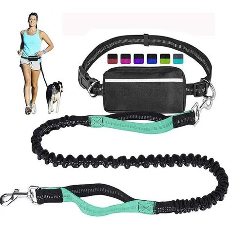 Laisse mains libres pour chiens, absorption des chocs, confortable, coutures réfléchissantes, idéale pour la course, le jogging et la marche. (1/3)