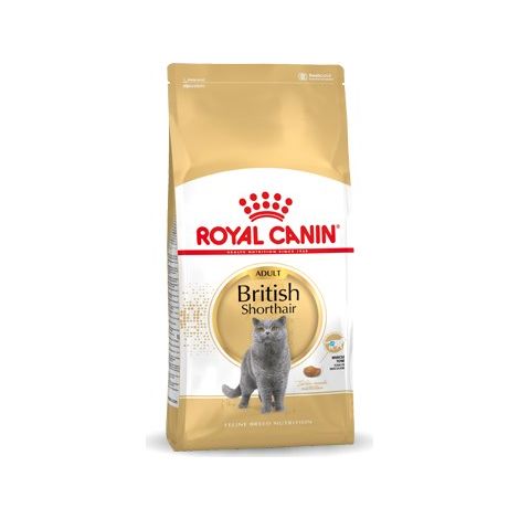 Royal Canin British Shorthair Adult 4000g Adulto cibo secco per gatti