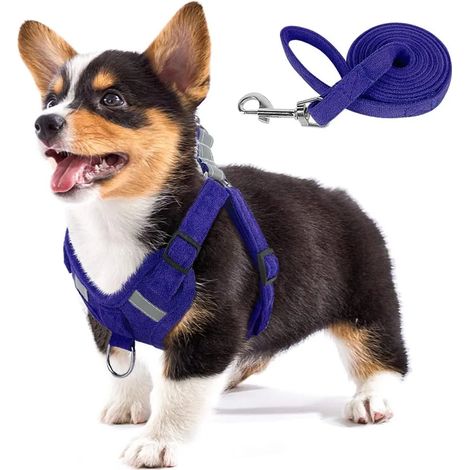Hundegeschirr aus weichem Wildlederimitat, verstellbarer Schrittbereich mit reflektierenden Details und Zugstopp für Welpen und kleine bis mittelgroße Hunde