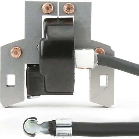 Bobine d'allumage pour Briggs & Stratton 5 hp. 397358 (1/5)