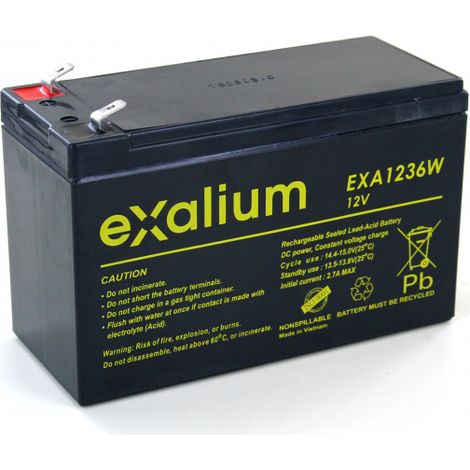 Batterie Plomb 12V 36W/Cell/10min (151x65x94) EXALIUM (EXA1236W)