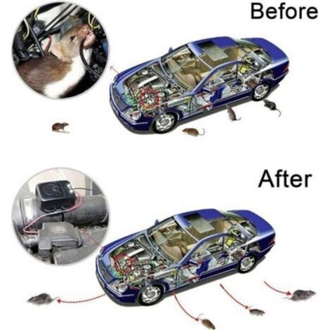 Répulsif Ultrason pour Voiture avec Stroboscopique LED, Garage pour Voiture Rongeurs Souris Bestioles Maison Garage Grenier Femeo (1/3)