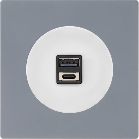 Double prise USB 2,6a a/c blanc glossy DOM + plaque simple gris (1/5)