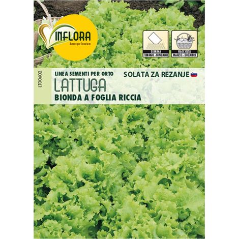 SEMI ORTO "LATTUGA BIONDA FOGLIA RICCIA" - CF. BUSTA 7 GR.