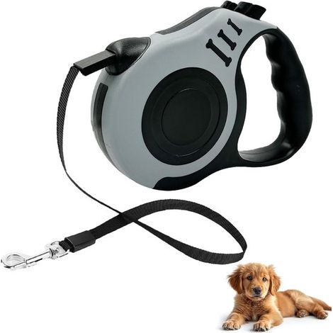Laisse rétractable pour chien 5 m, système de freinage progressif, pour chiens jusqu'à 15 kg, 1 pièce, gris (1/5)