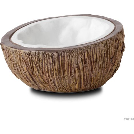 Exo Terra Bebedero en forma de Coco