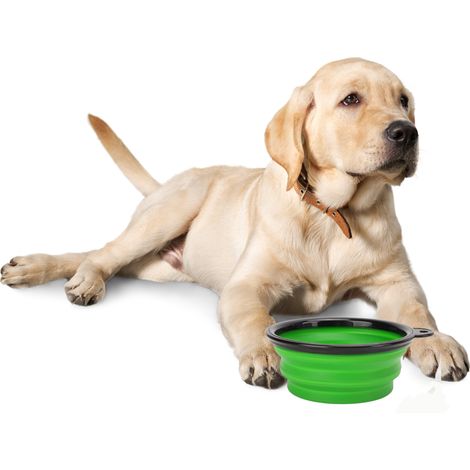 Ciotola da viaggio pieghevole in silicone per cani e gatti con moschettone. (1/5)