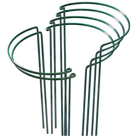 RHG Lot de 6 piquets de support pour plantes en fer forgéDimensions 21 x 35 cmPour tomates, roses et pivoineInstallation facile (1/5)