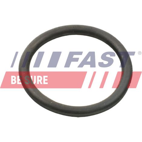 O-ring per pompa dell'acqua rapida FT49934 (1/2)
