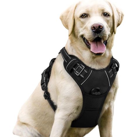Disponible varios tamaños. 23,99 € Comparar Ver información Arnés antitirones 2 clips ajustable, acolchado suave, fácil usar grandes, negro (1/5)