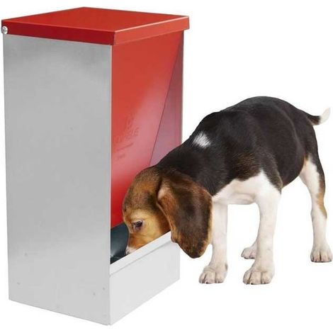 Suinga – Distributeur de croquettes pour chien – Trémie 10 litres – Matériaux durables et recyclables – Dimensions 24x20x46 cm