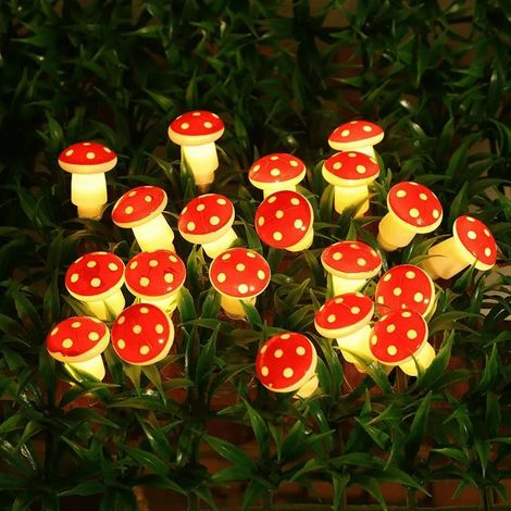 Guirlande Lumineuse Champignon 3D - 3 m - 20 Led - Fonctionne Sur Piles - Décoration Chambre Fête Mariage Résidence Étudiante (1/5)