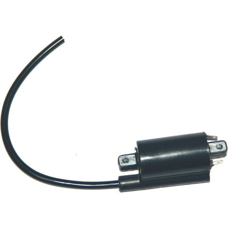 Rasenmäherzubehör: Zündspulen FD440, FD501V, FD590V, FD611V, AM120732 (1/4)