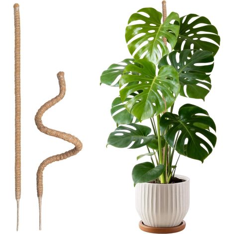 2 Pièces Tuteur Plante Grimpante en Coco sur Piquet 160 cm (1/5)