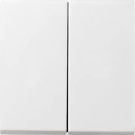 Gira Wippe 2f + Set IP44 Standard 55, Gira E2 Reinweiß 026603 (1/2)