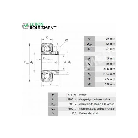 Roulement de palier AY25-NPP-B-INA