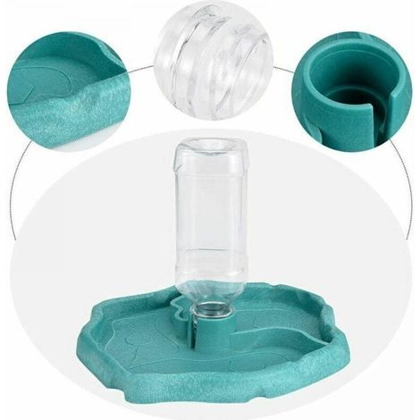 Turtle Fountain – 2 in 1 – Anti-tip – Blue – Automatic Reptile Feeder (1/4)