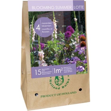 Mix Bulbes fleurs été Mauves